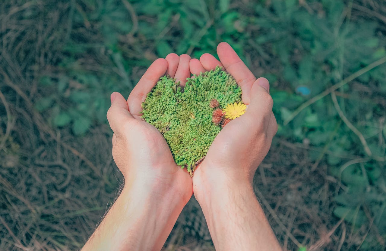 Hands in a natural setting holding heart-shaped moss, symbolizing love for nature.